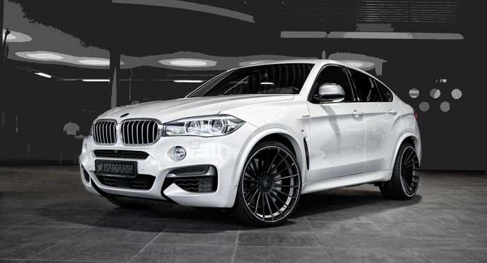 hamann-x6-1
