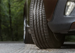 nokian vyipustila obnovlenie letnih shin hakka green