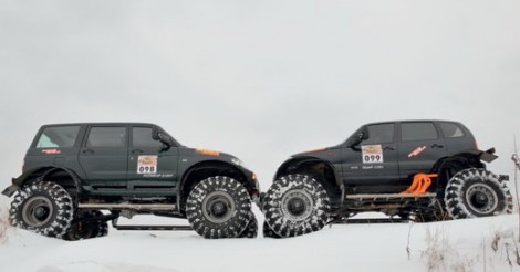 Леший и Ратибор
